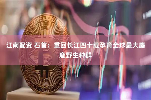 江南配资 石首：重回长江四十载孕育全球最大麋鹿野生种群